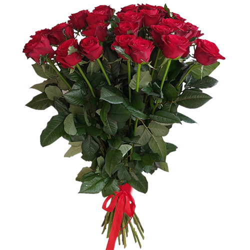 Фото товара 21 червона троянда в Каменец-Подольском