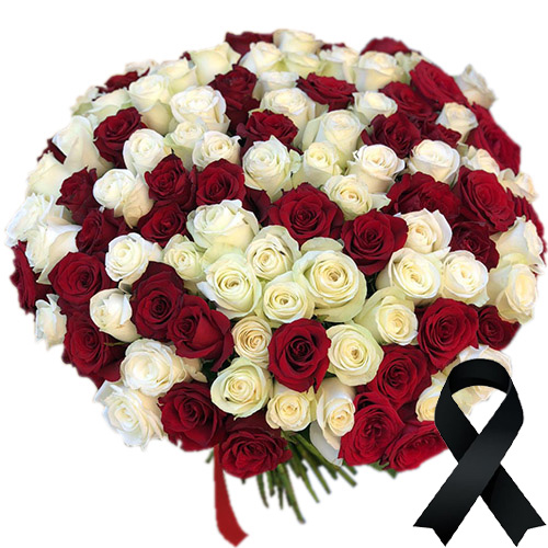 Фото товара 100 красно-белых роз в Каменец-Подольском