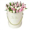 Фото товара 51 біло-рожевий тюльпан у коробці в Каменец-Подольском