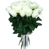Фото товара 25 белых роз в Каменец-Подольском