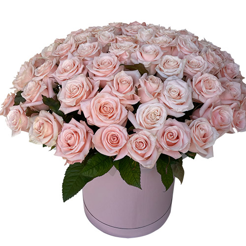 Фото товара 101 розовая роза в коробке в Каменец-Подольском