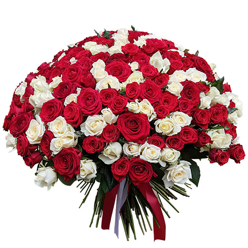 Фото товара 201 червона і біла троянда в Каменец-Подольском