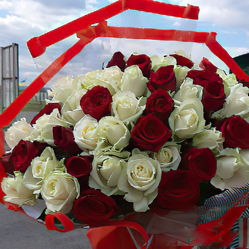 цветы и подарки на 8 Марта в категории 51 Роза | «Роза Подолья»