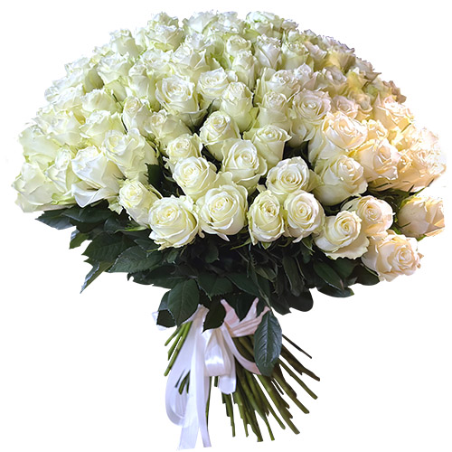 Фото товара 101 белая импортная роза в Каменец-Подольском