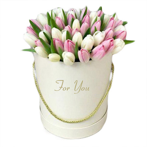 Фото товара 51 бело-розовый тюльпан в коробке в Каменец-Подольском
