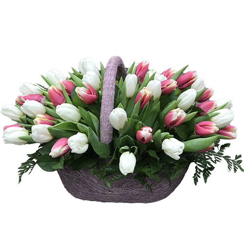 Фото товара 51 бело-розовый тюльпан в корзине в Каменец-Подольском