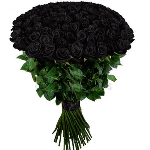 Фото товара 101 чёрная роза (крашеная) в Каменец-Подольском