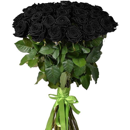 Фото товара 25 чёрных роз (крашеных) в Каменец-Подольском