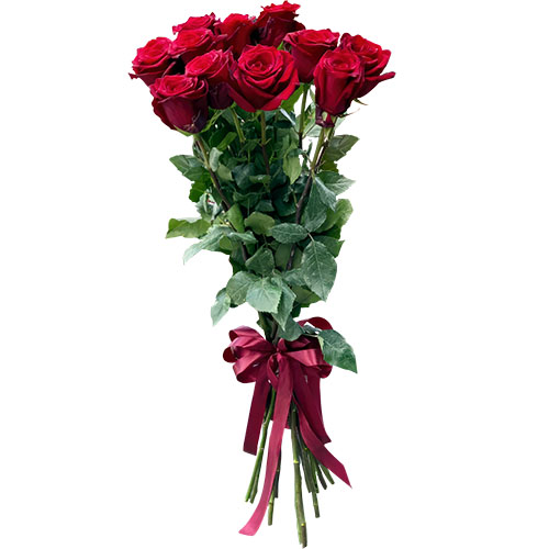 Фото товара 11 метровых роз в Каменец-Подольском