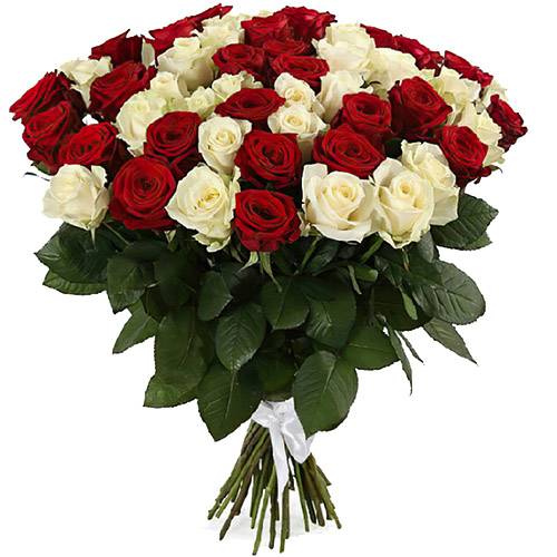 Фото товара 51 роза красная и белая в Каменец-Подольском