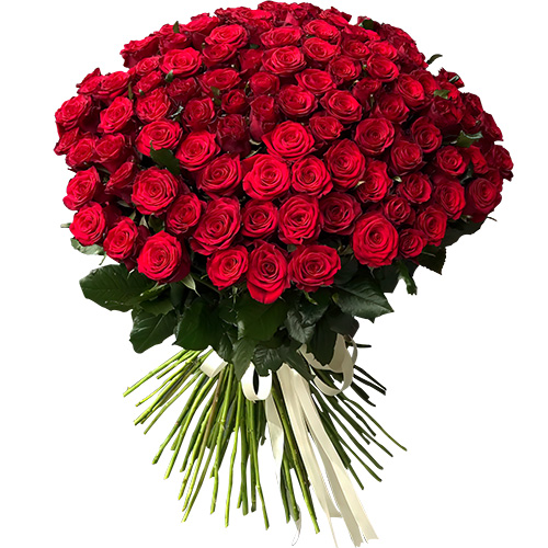 Фото товара 101 роза красная в Каменец-Подольском
