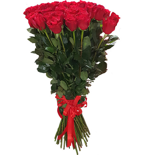 Фото товара 25 метровых роз "Фридом" в Каменец-Подольском