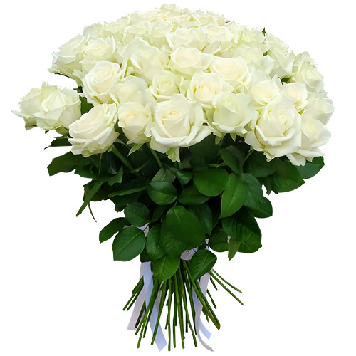 Фото товара 51 роза белая в Каменец-Подольском