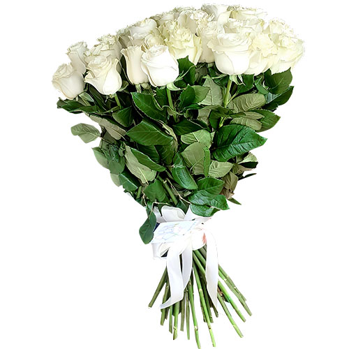 Фото товара 33 белые розы в Каменец-Подольском