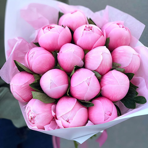 Фото товара 15 розовых пионов в Каменец-Подольском