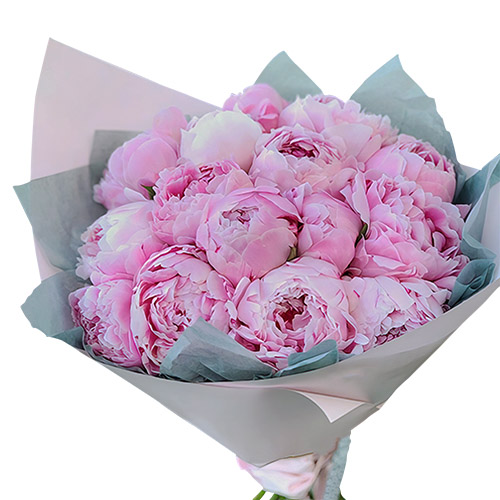 Фото товара 19 розовых пионов в Каменец-Подольском