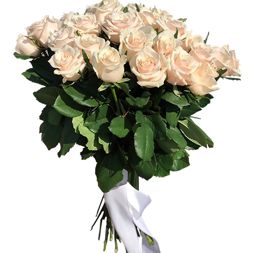 Фото товара Букет из 33 кремовых роз в Каменец-Подольском