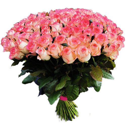 Фото товара Букет троянд 101 Джамілія в Каменец-Подольском