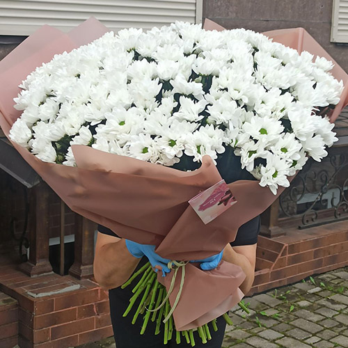 фото букета белых хризантем