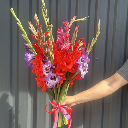 фото букета с гладиолусами